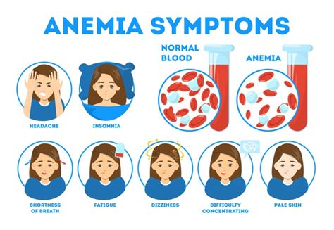 how can low mchc affect my body.